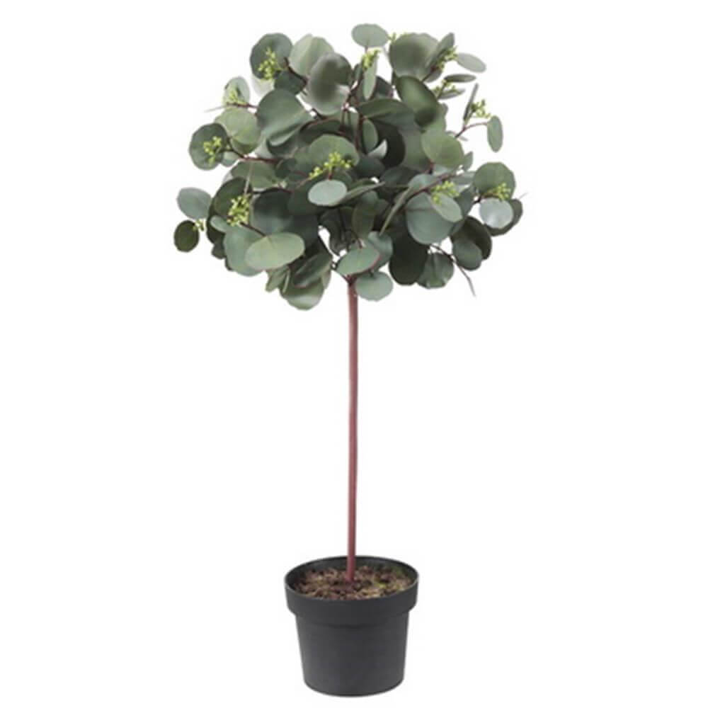 Parlane Potted Round Eucalyptus Tree Green